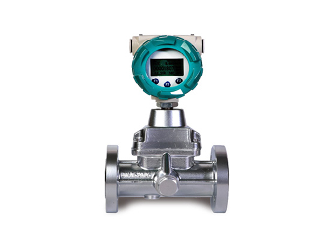 旋進(jìn)旋渦流量計(jì)